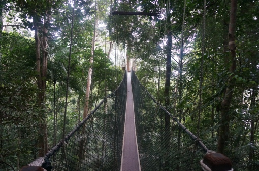 Pont de singe - Taman Negara