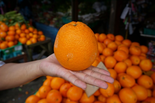 Les oranges ont d'ailleurs une taille assez énorme!